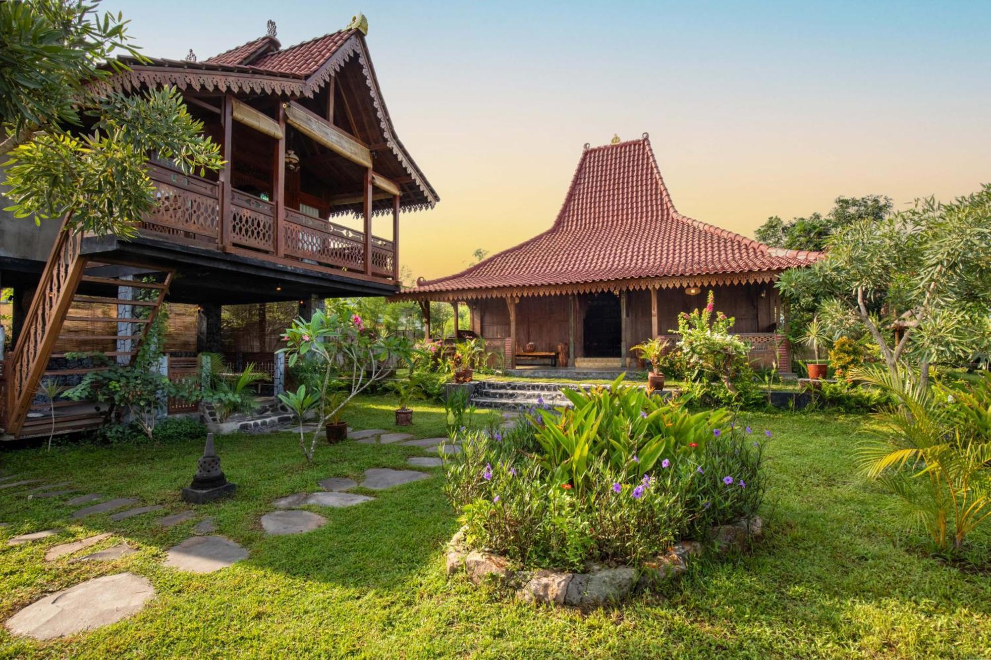 Javalo Lombok Homestay Sengkol